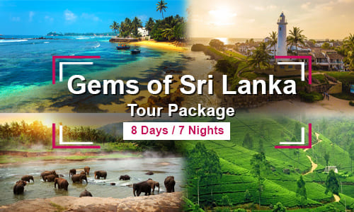 Gems of Sri Lanka Tour Package